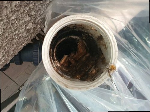미추홀구 하수구막힘 여러 배수구의 상태를 비교하며 점검하는 장면